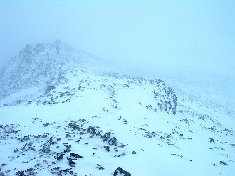 arctic tundra landscape